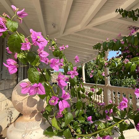 Villa Ardura - Island Holiday Residence **** Bol. Island Brac Номер фото